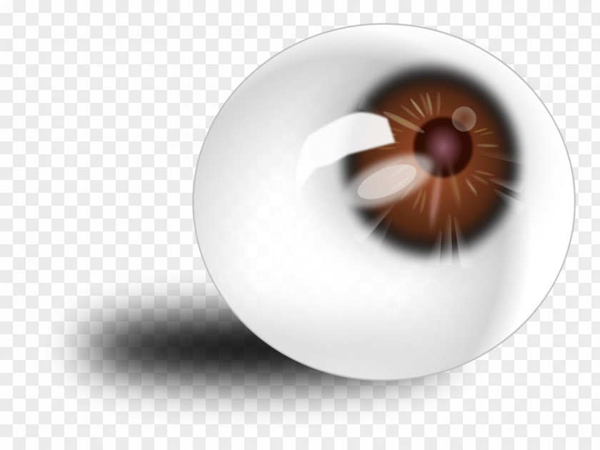 Eyeball Graphics Eye Globe Clip Art PNG