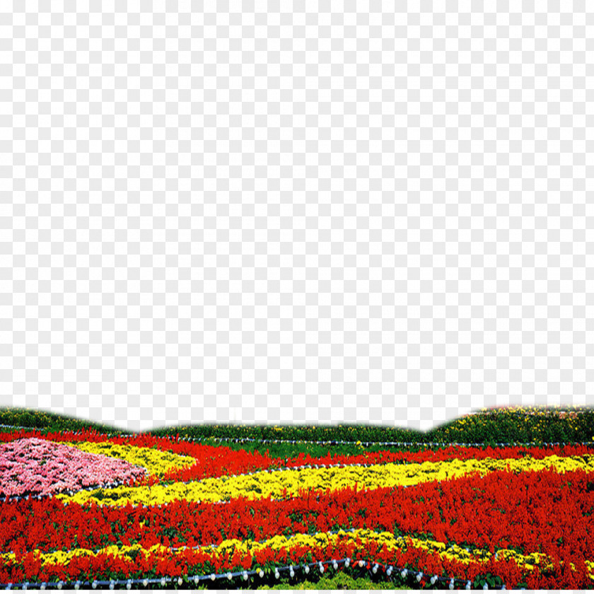 Flower Meadow Land 2013 Tiananmen Square Attack PNG