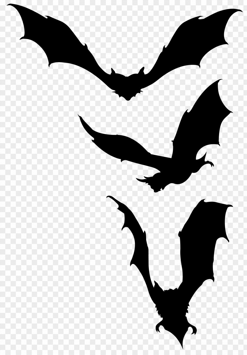 Image Microbat Vampire Bat Paper PNG