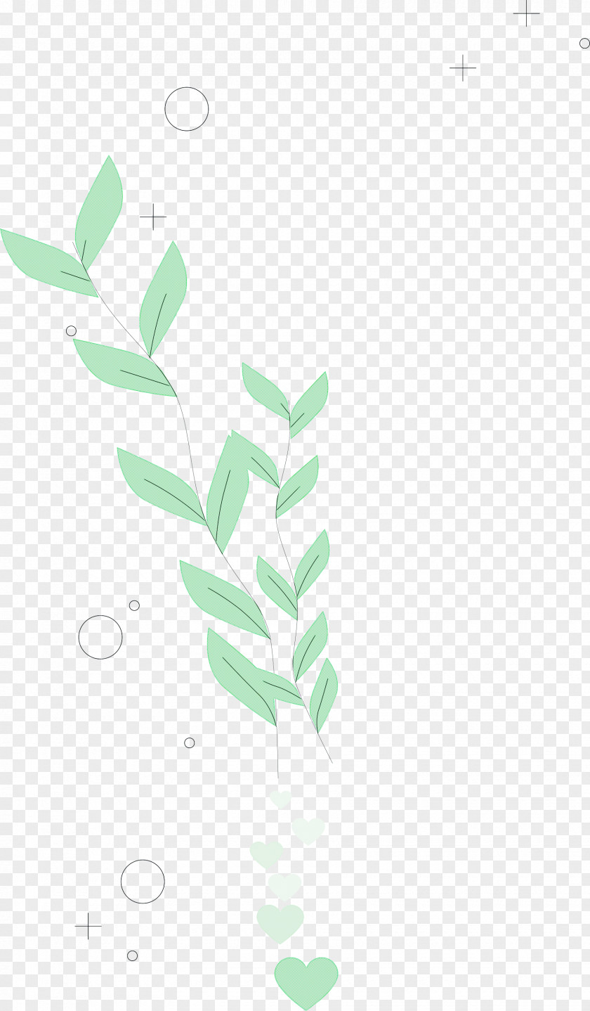Plant Stem Petal Leaf Green Pattern PNG