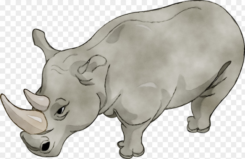 Rhinoceros Animation Drawing Cartoon Image PNG