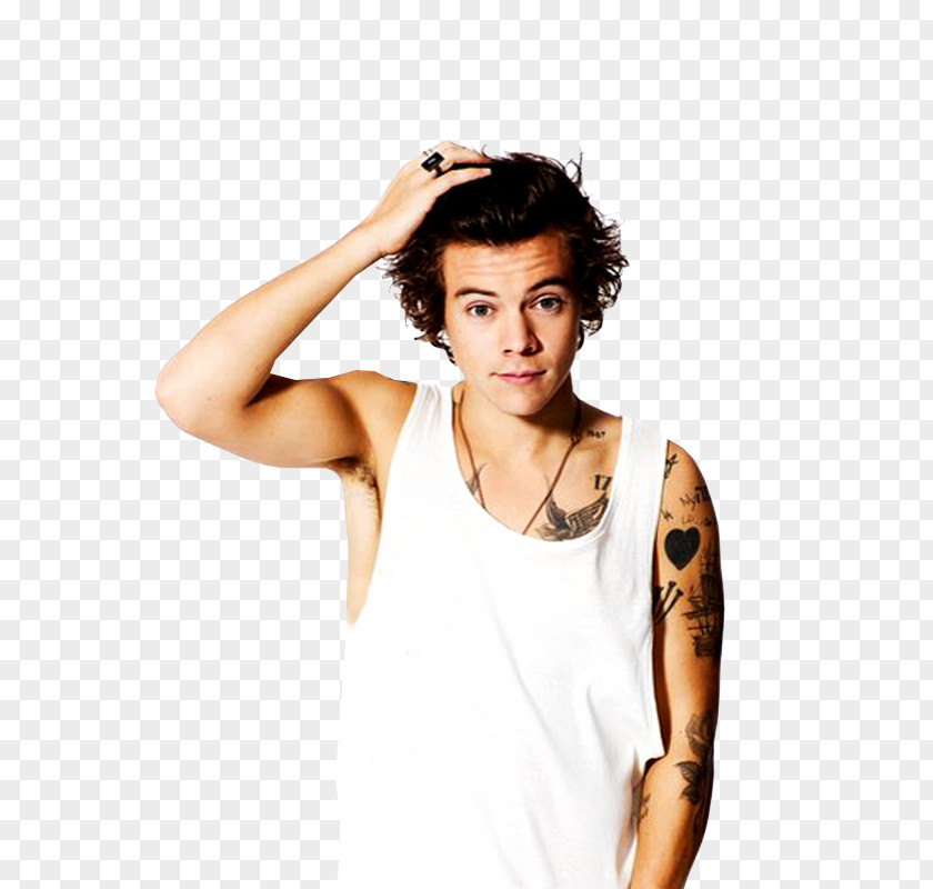 Styles Harry One Direction Photography Up All Night PNG