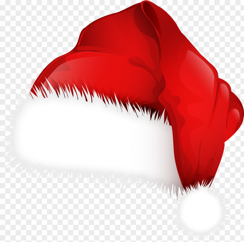 Beanie Santa Claus Christmas Hat Clip Art PNG