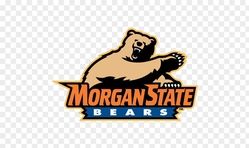 Bear Morgan State University Coppin Bears Men's Basketball Football Women's PNG