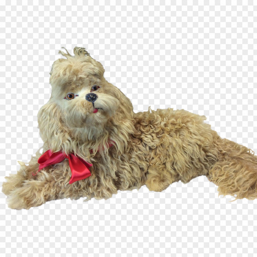 Dog Breed Shih Tzu Companion Stuffed Animals & Cuddly Toys Snout PNG