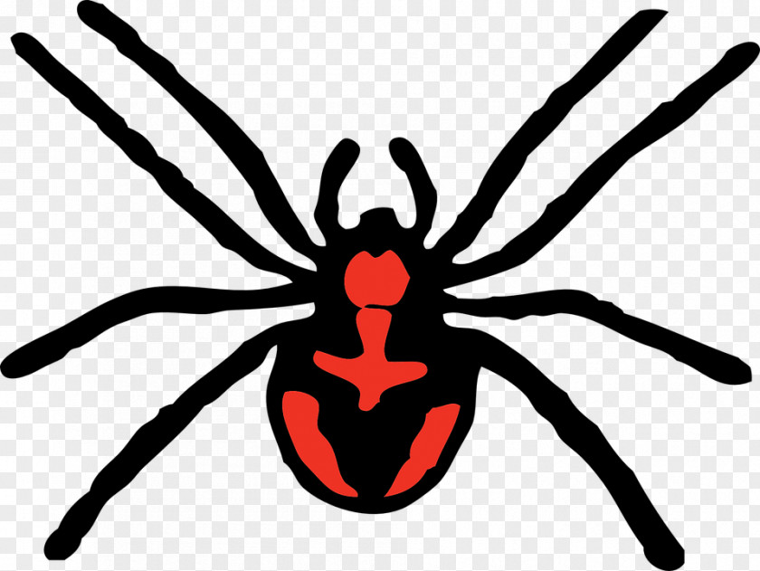 Halloween Horror Spider Free Content Clip Art PNG