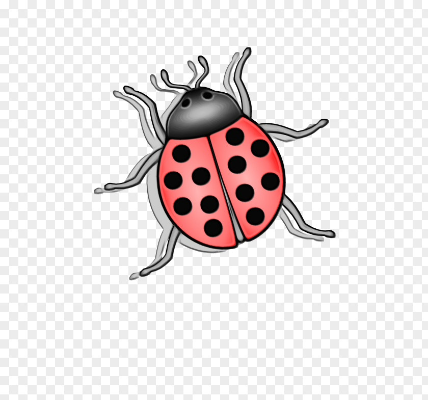 Insects Cartoon Ladybugs Pattern Membrane PNG