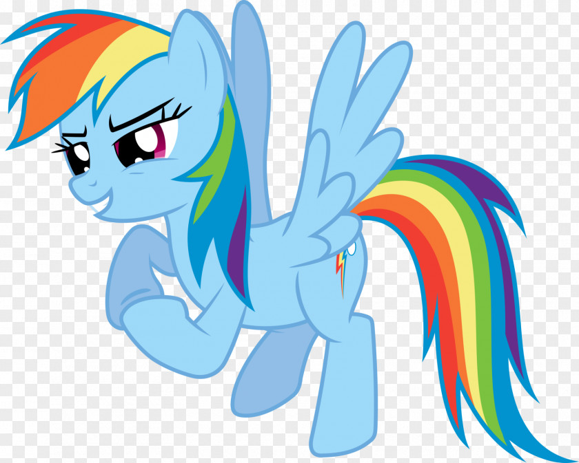 Rainbow Dash Pony Rarity Fluttershy Twilight Sparkle PNG