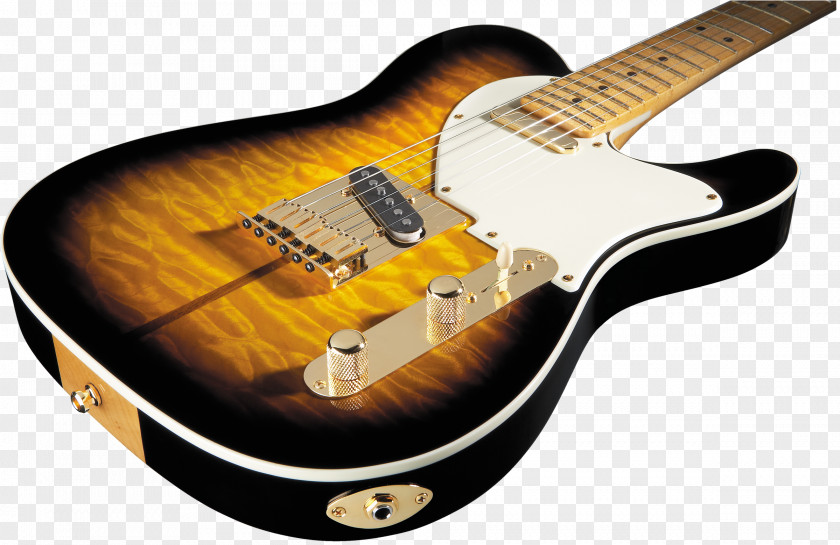 Bass Guitar Fender Telecaster Custom Thinline Electric PNG