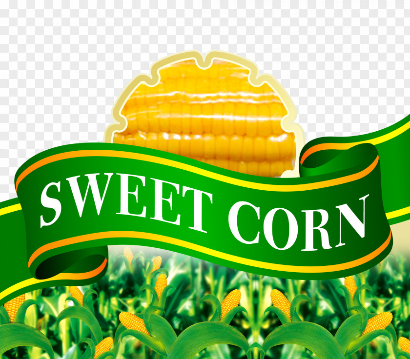 Green Corn Waxy On The Cob Maize Sweet PNG