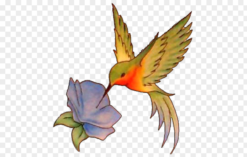 Hummingbird Tattoo Flash PNG