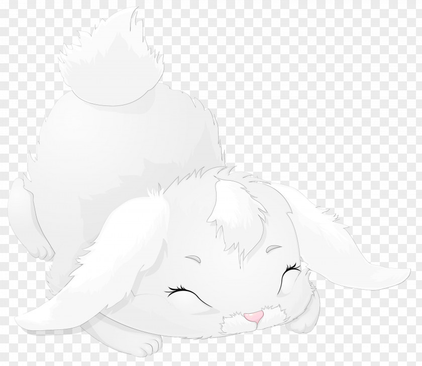 Kitten Drawing White Cat Nose Small To Medium-sized Cats Whiskers PNG