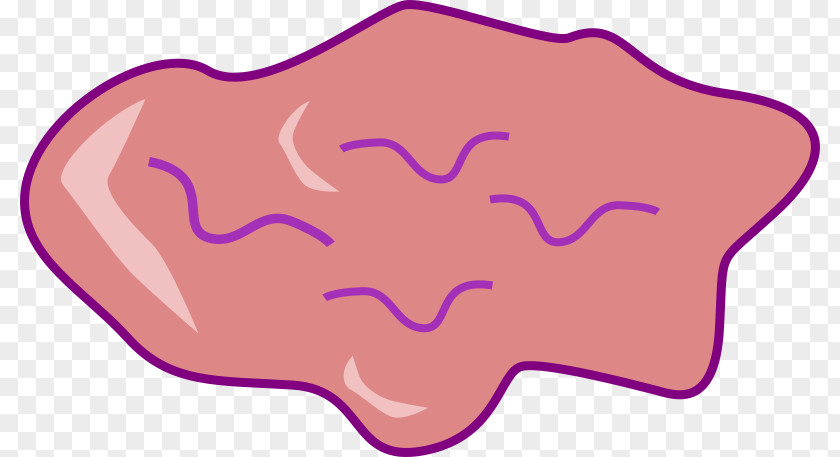 Line Organism Pink M Clip Art PNG