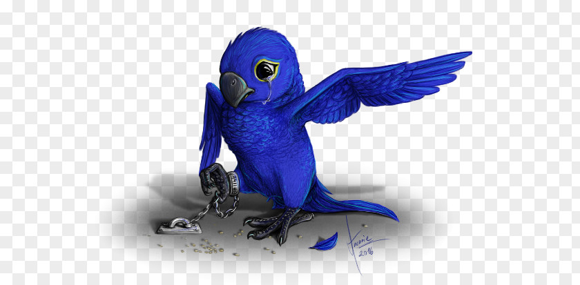 Sad Puppies In Cages Macaw Parakeet Feather Beak Cobalt Blue PNG