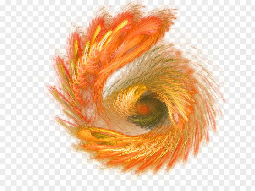 Flame Fractal Fire Combustion PNG