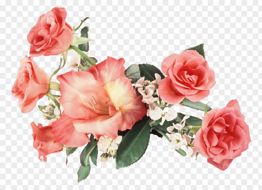 Flower Picture Frames Photography PNG