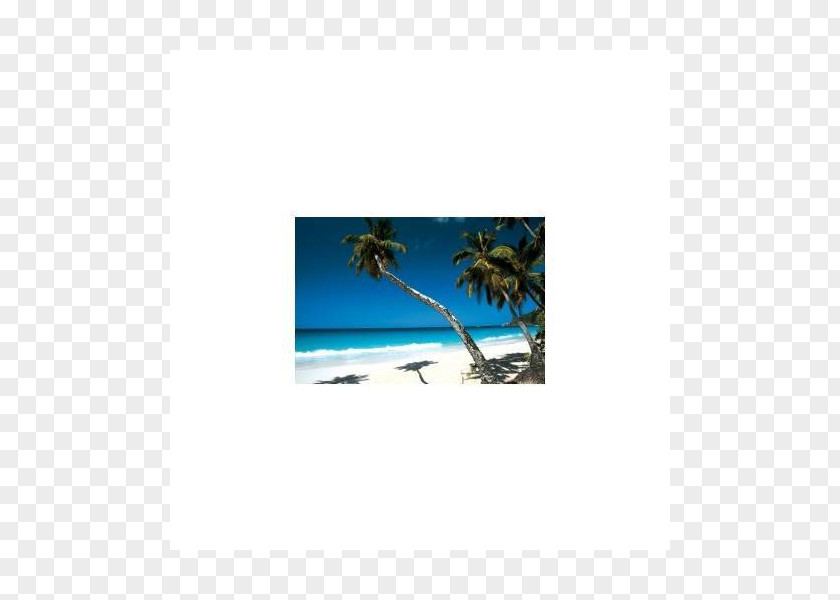 Light Strands Seychelles Picture Frames Rectangle Microsoft Azure PNG