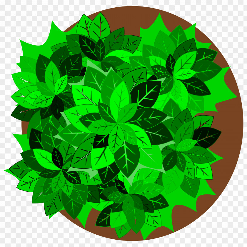 Tree Top View Plant Clip Art PNG