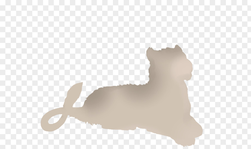 Fuzzy Light Dog Cat Mammal Puppy Canidae PNG
