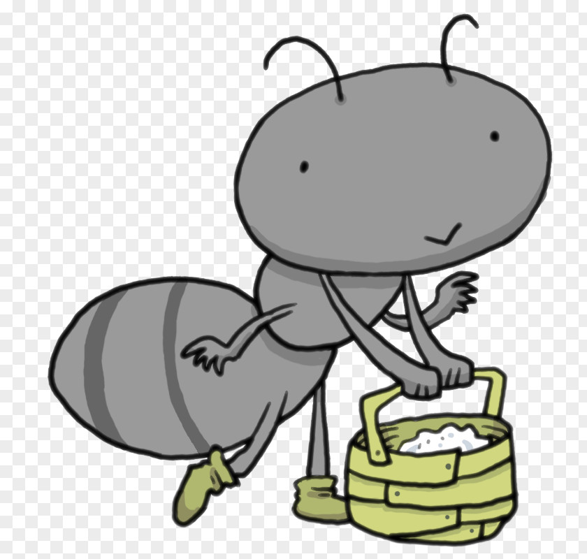 Insect Coloring Book Line Art Clip PNG