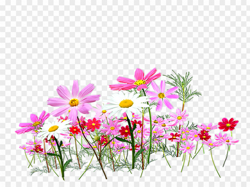 Pink And Fresh Flower Garden Decoration Pattern Cut Flowers Color Clip Art PNG