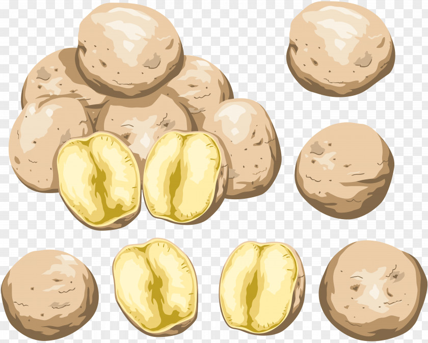 Potato Nut Clip Art PNG