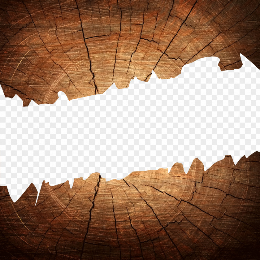 Wood Crack PNG crack clipart PNG