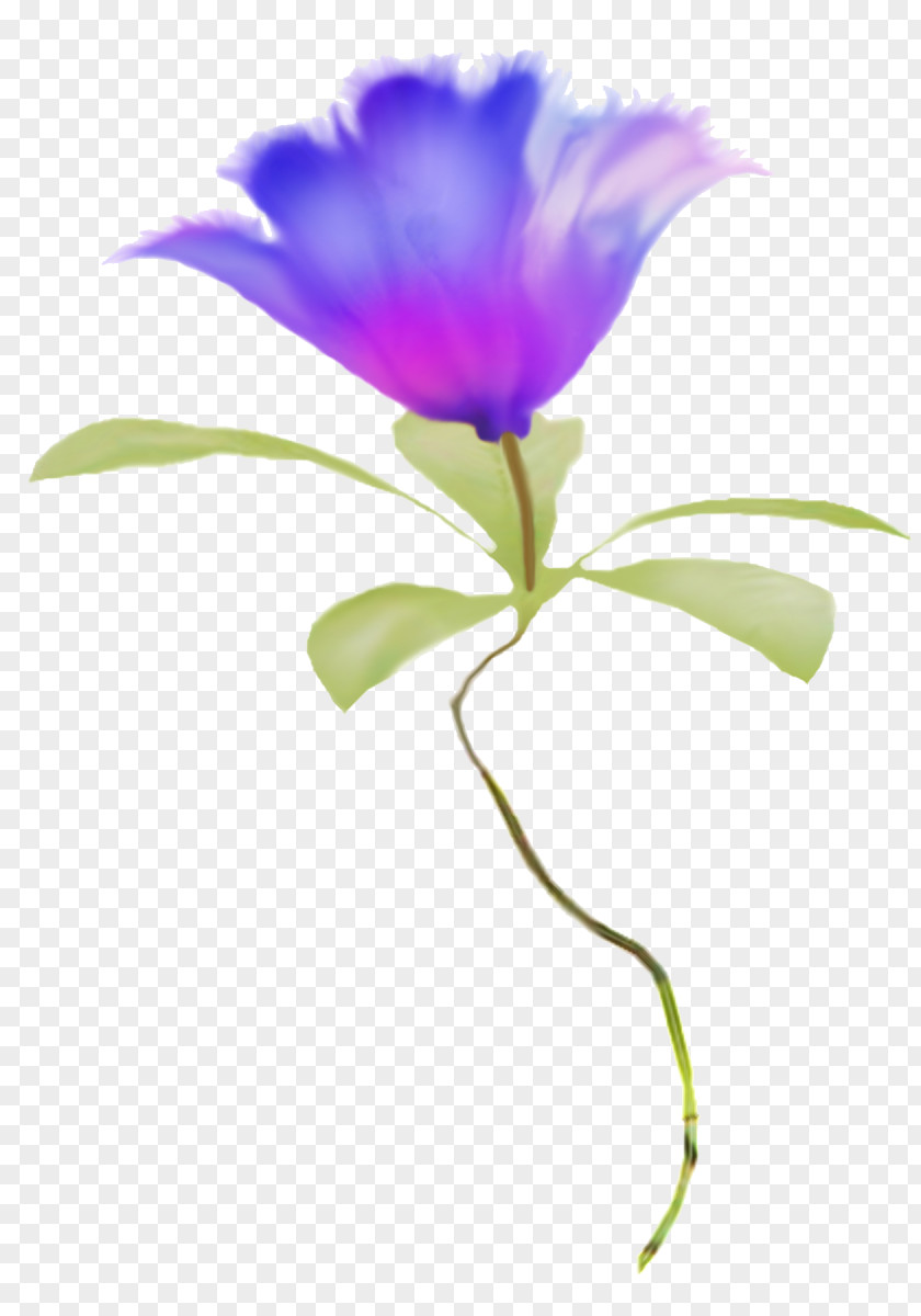 Blue Flower Petal Plant Stem Clip Art PNG