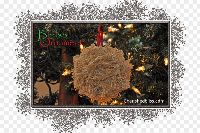 Christmas Tree Ornament Spruce Fir Boss's Day PNG