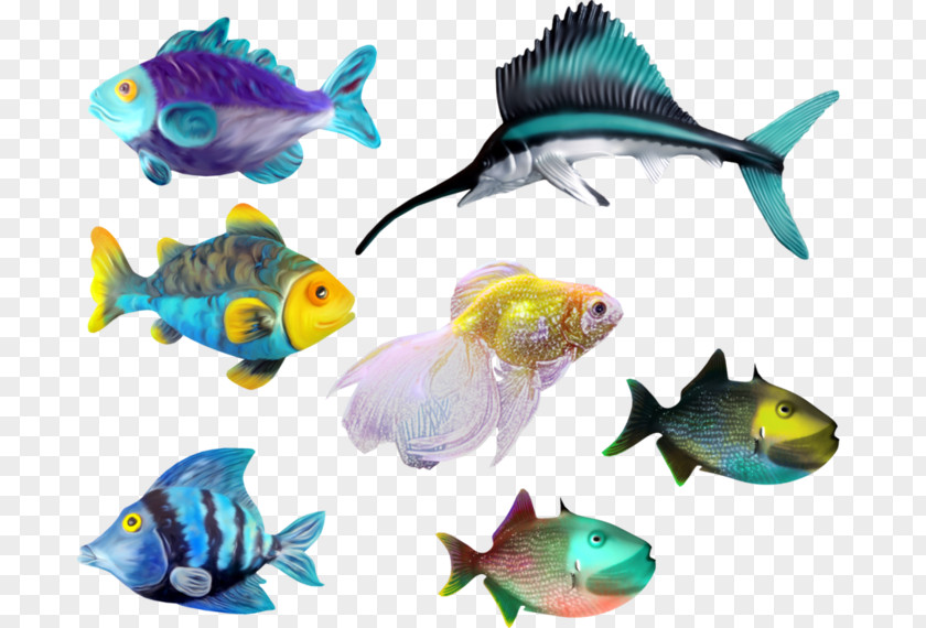 Coral Reef Sea Fish Marine Biology Clip Art PNG