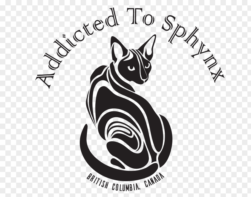 Design Sphynx Cat Exotic Shorthair La Historia Del Cuanto : Una En 40 Momentos Drawing Black PNG