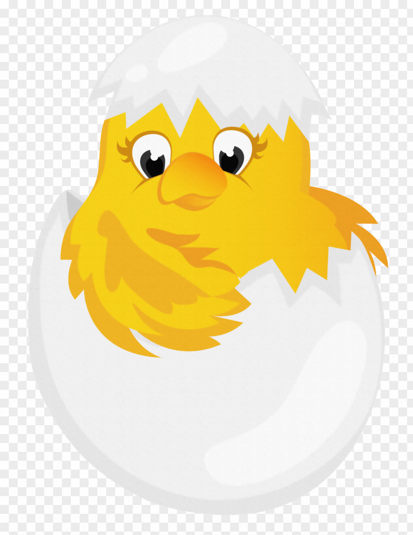 Easter Chicken In Egg Transparent Clipart Cartoon Clip Art PNG