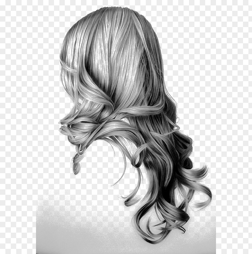 Hair Drawing Hairstyle Long Sketch PNG