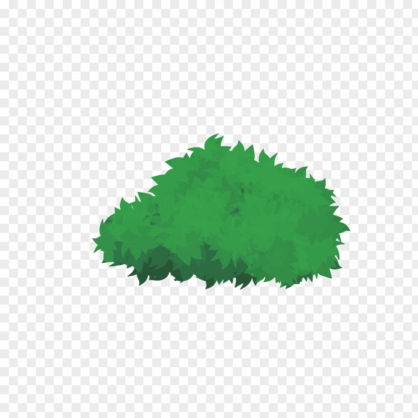 Leaf PNG