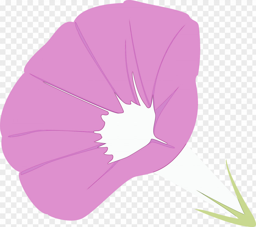 Pink Violet Purple Petal Leaf PNG