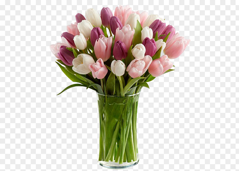 Mother's Day Gift Tulip Marlborough Floristry Wimberley Flower PNG