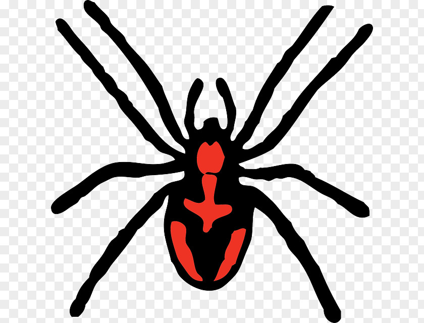 Spider Clip Art PNG