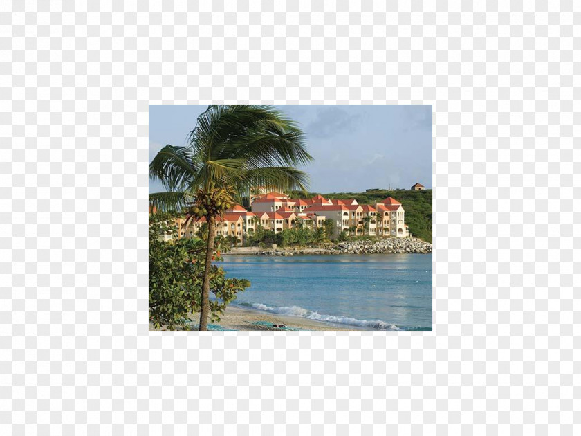 Vacation Divi Little Bay Beach Resort Shore Property Land Lot PNG