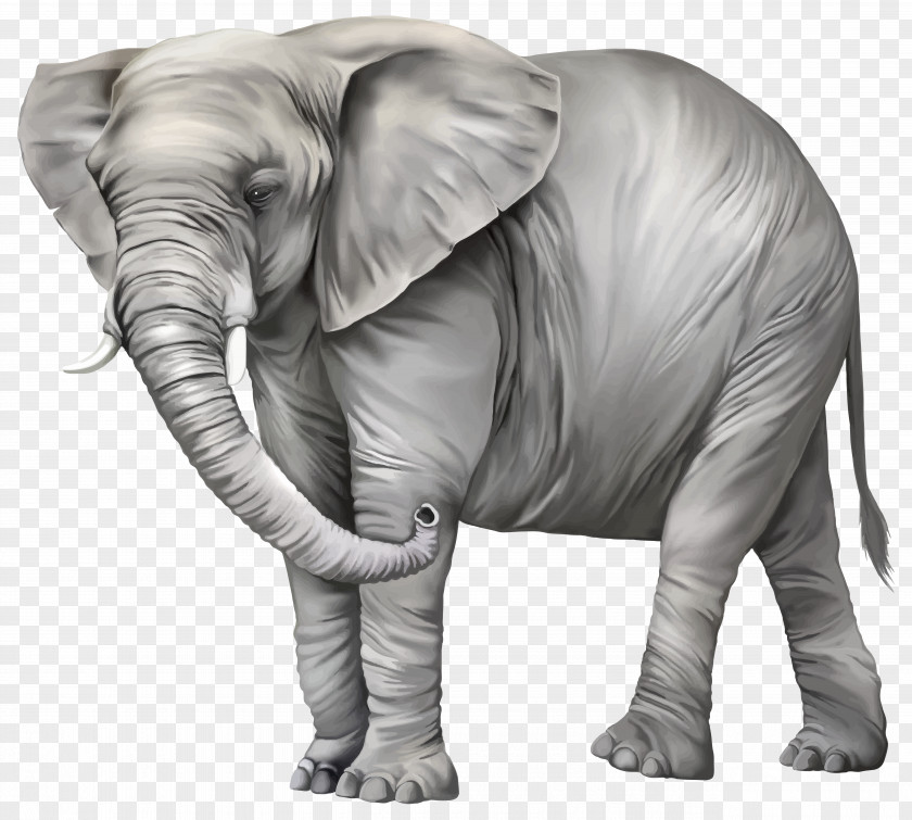Watercolor Elephant Asian Clip Art PNG