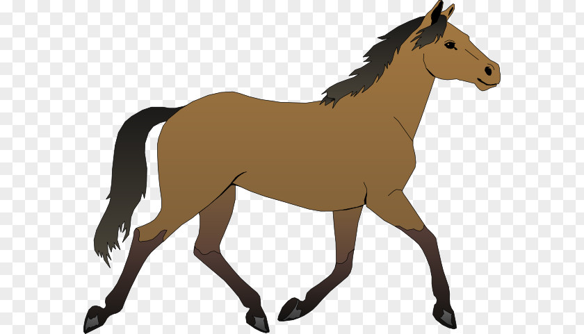 Horse Cliparts Foal Pony Colt Clip Art PNG