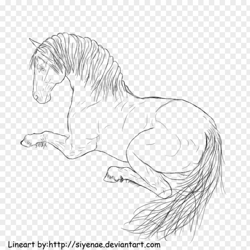 Laying Down Mane Line Art Pony Mustang Coloring Book PNG
