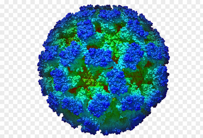 Polyhedral Virus Capsid Organism PNG