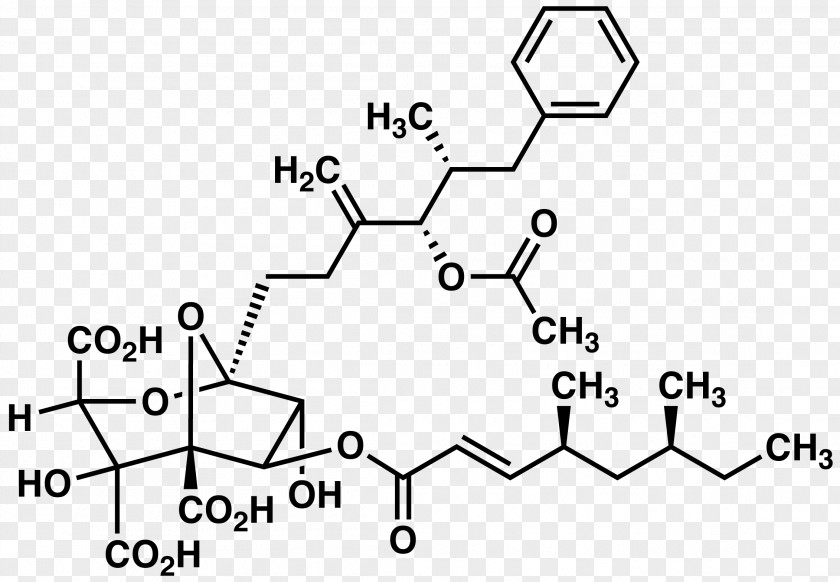 Acid Zaragozic /m/02csf Squalene Natural Product PNG