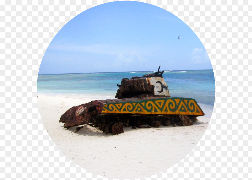 Beach Flamenco Vehicle Culebra PNG