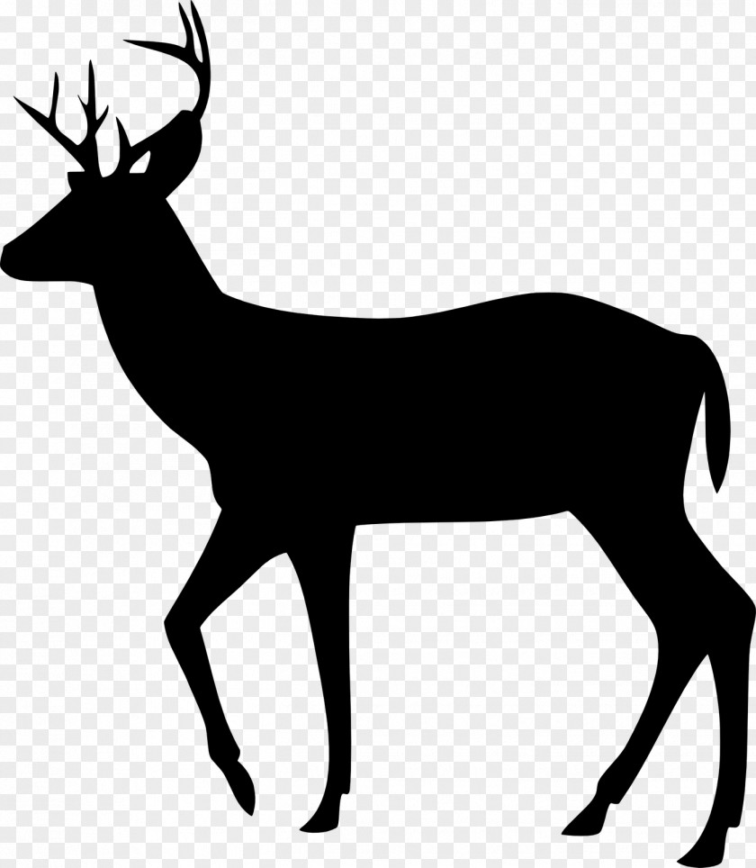 Deer Head Antelope Cat Animal Brush Clip Art PNG