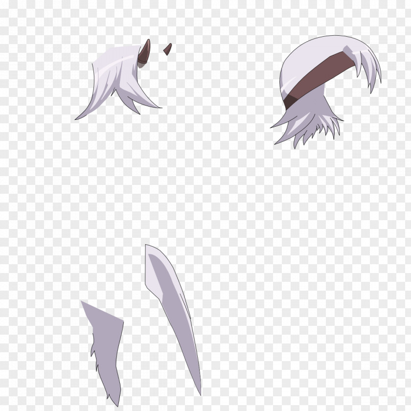 Design Mammal Feather PNG