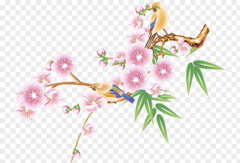Flower Floral Design Petal PNG