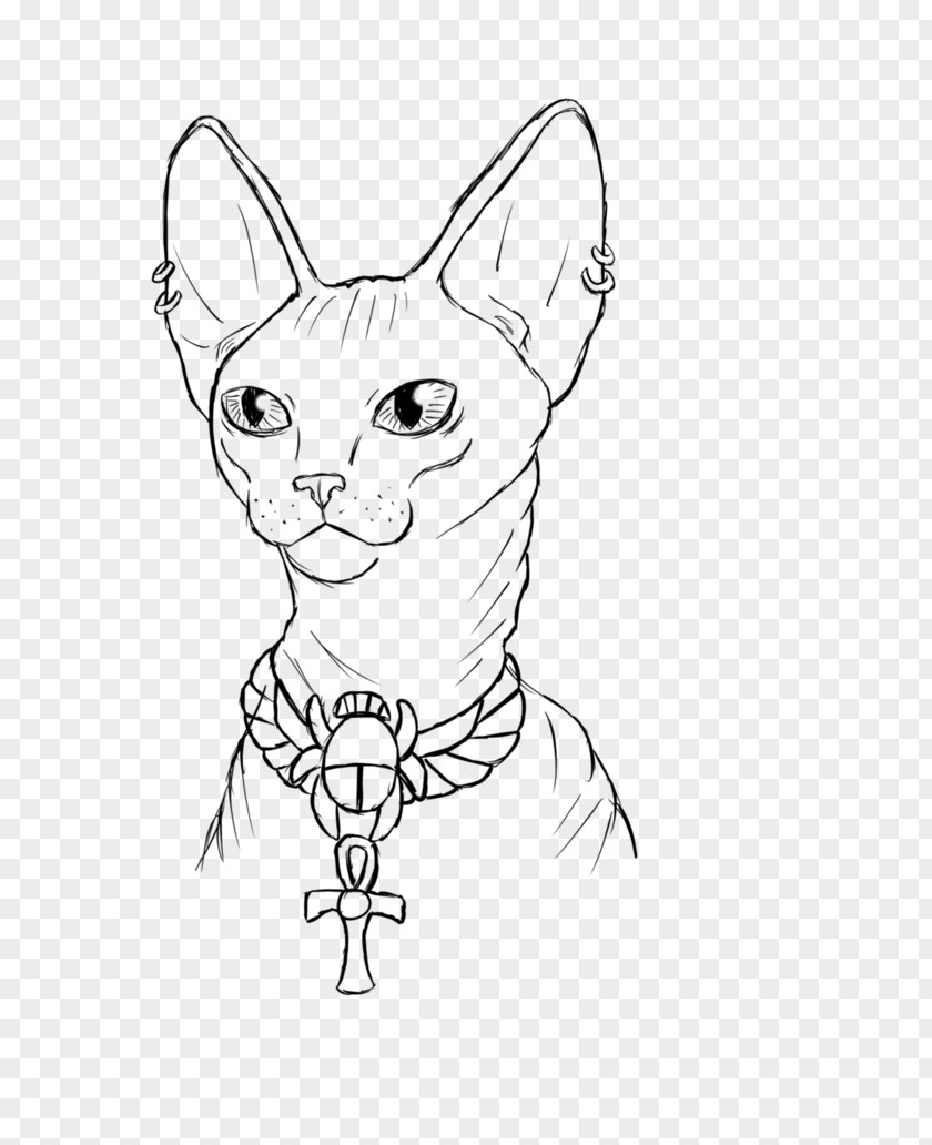 Tattoo Sketch] Whiskers Kitten Domestic Short-haired Cat /m/02csf PNG