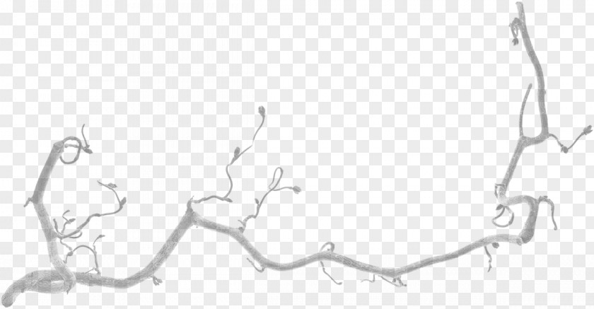 Yellow Branch Twig Stock Photography Line Art PNG