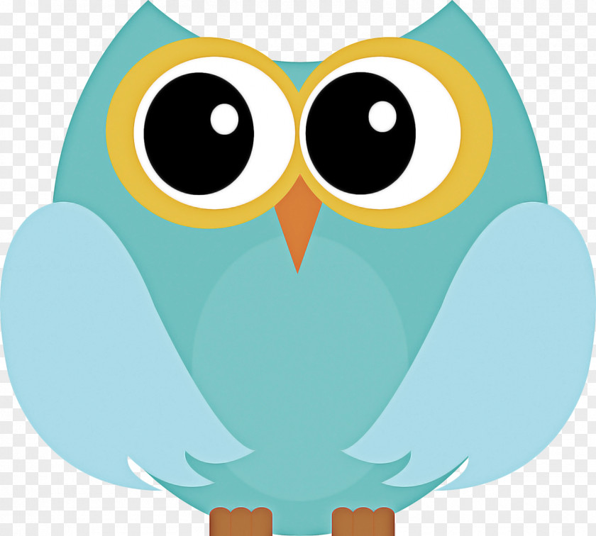 Cartoon Teal Owl PNG